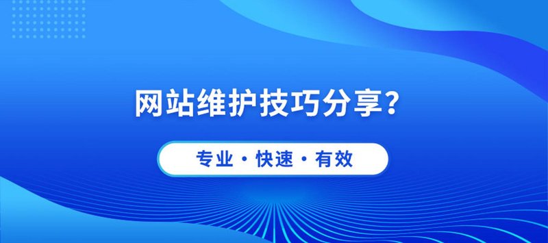 把握武汉网站建设的脉搏:洞察未来趋势